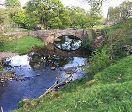 bridge reflection in river