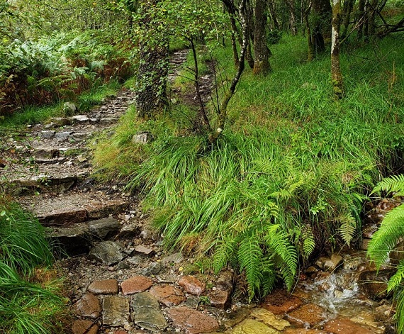 Scotland description